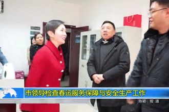 市领导检查春运服务保障与安全生产工作