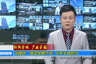 武陵区：鼓足发展干劲 扛牢主城担当