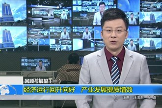 回顾与展望（一）经济运行回升向好 产业发展提质增效