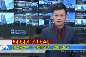 新春走基层 龙年走龙村 澧县双龙村：鱼糕味道美 皮影记忆深