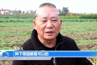 农家小院里的“疗愈系”琴声 把爱弹给你听