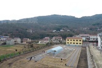 澧县：木耳产业为乡村振兴赋能