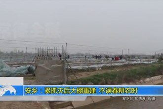 安乡：紧抓灾后大棚重建 不误春耕农时