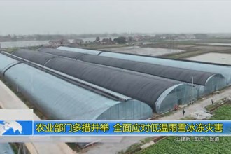 农业部门多措并举 全面应对雨雪冰冻灾害