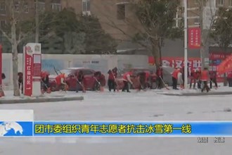 团市委组织青年志愿者抗击冰雪第一线