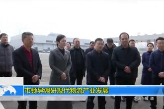 市领导调研现代物流产业发展