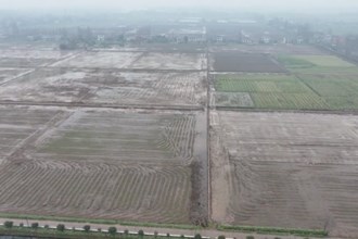 安乡：重建大棚备春耕 打好粮食生产第一仗