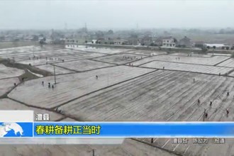 澧县：春耕备耕正当时