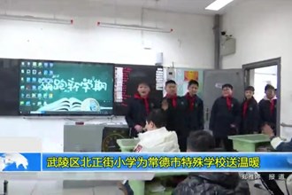 北正街小学走进澳门金沙博彩娱乐平台特殊学校送温暖