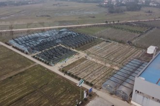 常德农行：金融活水助力农业灾后复产