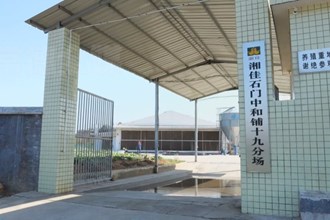 石门：畜禽养殖业按下灾后重建“加速键”