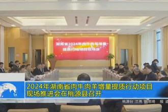 2024年湖南省肉牛肉羊增量提质行动项目现场推进会在桃源县召开