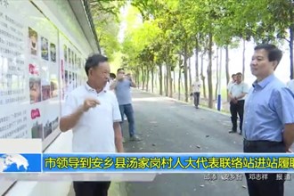 市领导到安乡县汤家岗村人大代表联络站进站履职