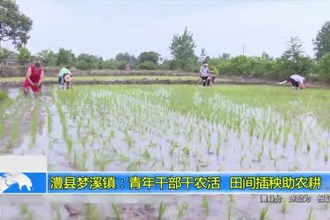 澧县梦溪镇：青年干部干农活 田间插秧助农耕
