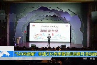 “520来武陵”非遗文化传承暨促进消费月活动启动