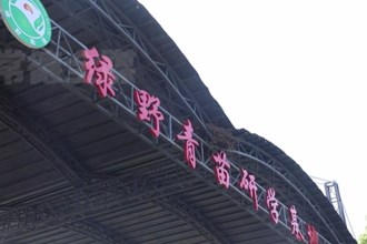 津市：体验农耕文旅 淬炼成长快乐
