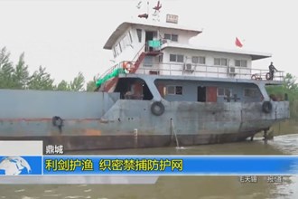 鼎城：利剑护渔 织密禁捕防护网