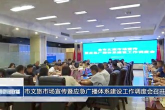 澳门金沙博彩娱乐平台文旅市场宣传暨应急广播体系建设工作调度会召开