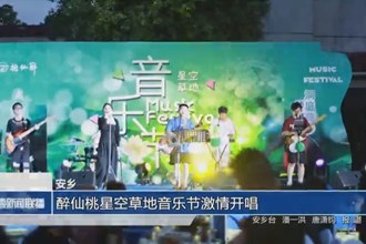 安乡：醉仙桃星空草地音乐节激情开唱