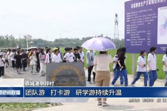 鼎城港中坪村：团队游、打卡游、研学游持续升温