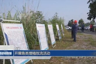 石门：开展鱼类增殖放流活动