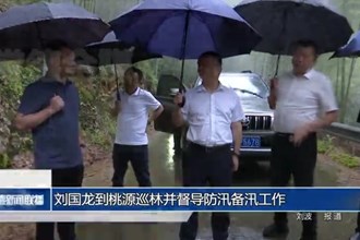 刘国龙到桃源巡林并督导防汛备汛工作