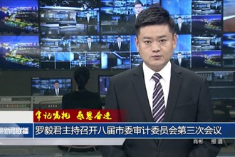 罗毅君主持召开八届市委审计委员会第三次会议