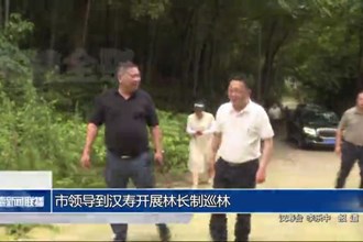 市领导到汉寿开展林长制巡林
