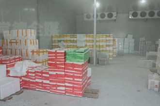 安乡：蔬菜脱水加工 村民集体增收