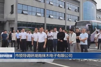 市领导调研湖南徕木电子有限公司