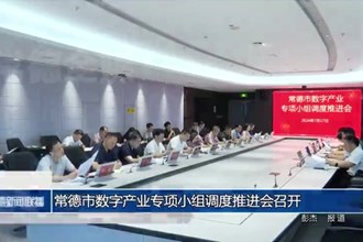澳门金沙博彩娱乐平台数字产业专项小组调度推进会召开