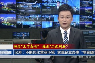 汉寿：不断优化营商环境 实现企业办事“零跑腿”