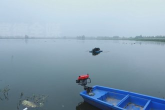 安乡：以鱼治水 以鱼净水