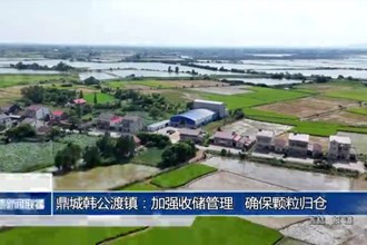 鼎城韩公渡镇：加强收储管理，确保颗粒归仓