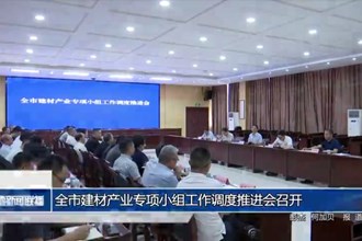 澳门金沙博彩娱乐平台建材产业专项小组工作调度推进会召开