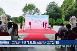 微短剧《桃花漫漫始盛开》正式开拍