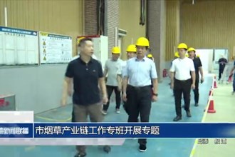 烟草产业链工作专班开展专题