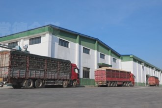 津市：严把粮食入库质量关 筑牢粮食安全“压舱石”