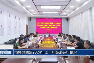 市领导调研2024年上半年经济运行情况
