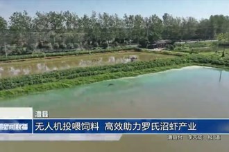 澧县：无人机投喂饲料 高效助力罗氏沼虾产业