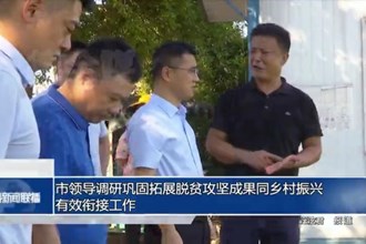 市领导调研巩固拓展脱贫攻坚成果同乡村振兴有效衔接工作