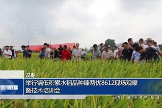 汉寿：举行镉低积累水稻品种臻两优8612现场观摩暨技术培训会