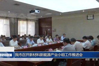澳门金沙博彩娱乐平台召开新材料新能源产业小组工作推进会