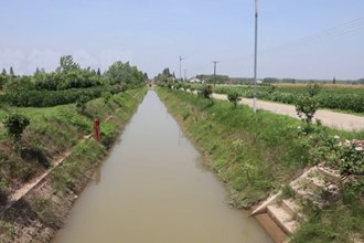 安乡安福村：产业焕“新颜” 村民绽“笑颜”