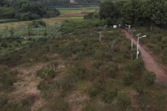 鼎城：“定制”水肥 油茶清凉度夏