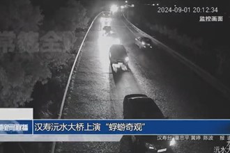 汉寿沅水大桥上演“蜉蝣奇观”