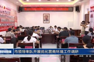 市领导率队开展优化营商环境工作调研