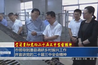 市领导到澧县调研乡村振兴工作并宣讲党的二十届三中全会精神