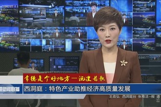 西洞庭：特色产业助推经济高质量发展