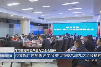澳门金沙博彩娱乐平台文旅广体局：传达学习贯彻市委八届九次全会精神